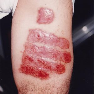 64669633_2313666818872158_1454823474626297856_n