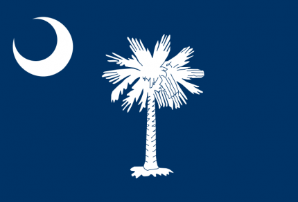 800px-Flag_of_South_Carolina.svg